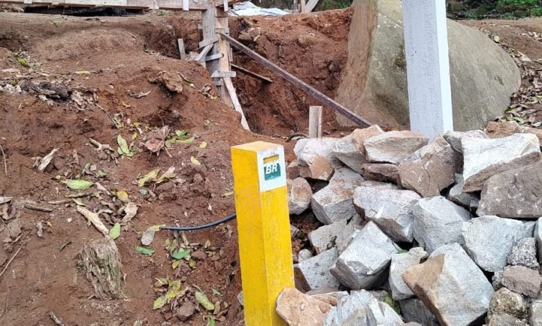 Policiamento Ambiental (UPAm) do Parque Estadual da Juatinga flagraram corte ilegal de árvores